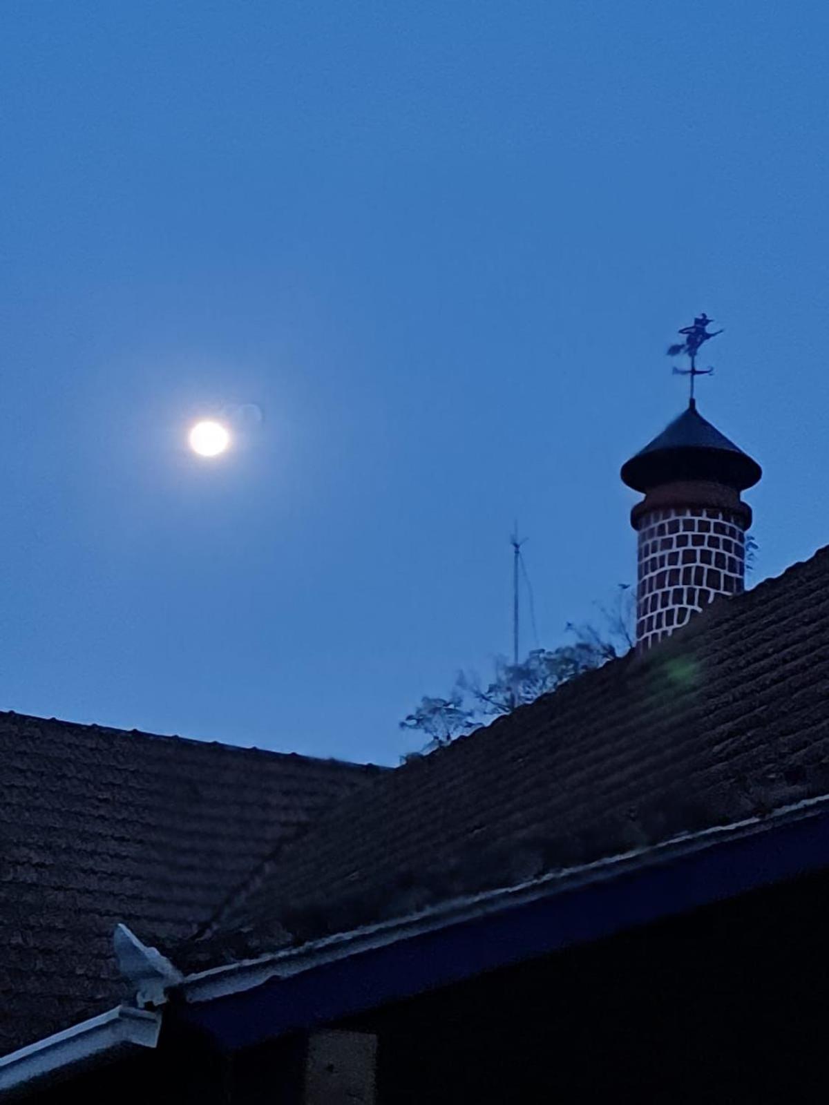 Casa Acucena No Sitio Gaia Magia Miguel Pereira Rj 호텔 외부 사진
